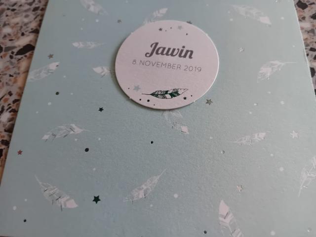 718003 mint groen m…
